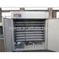 Automatic Used Poultry Chicken Egg Incubator for Sale